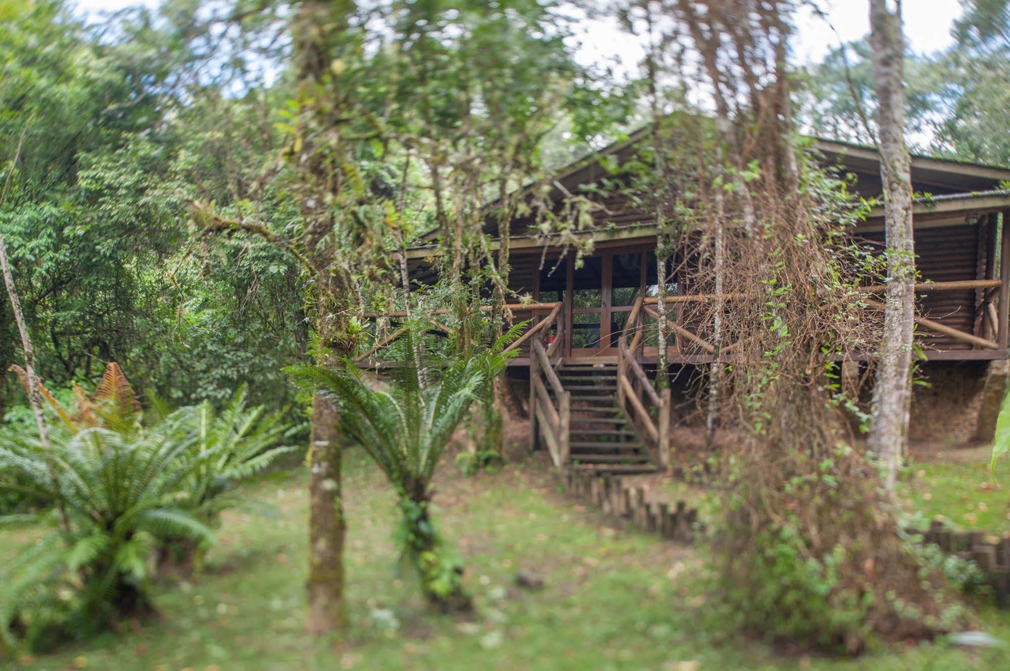 Paraiso Eco Lodge Ribeirão Grande Exterior foto